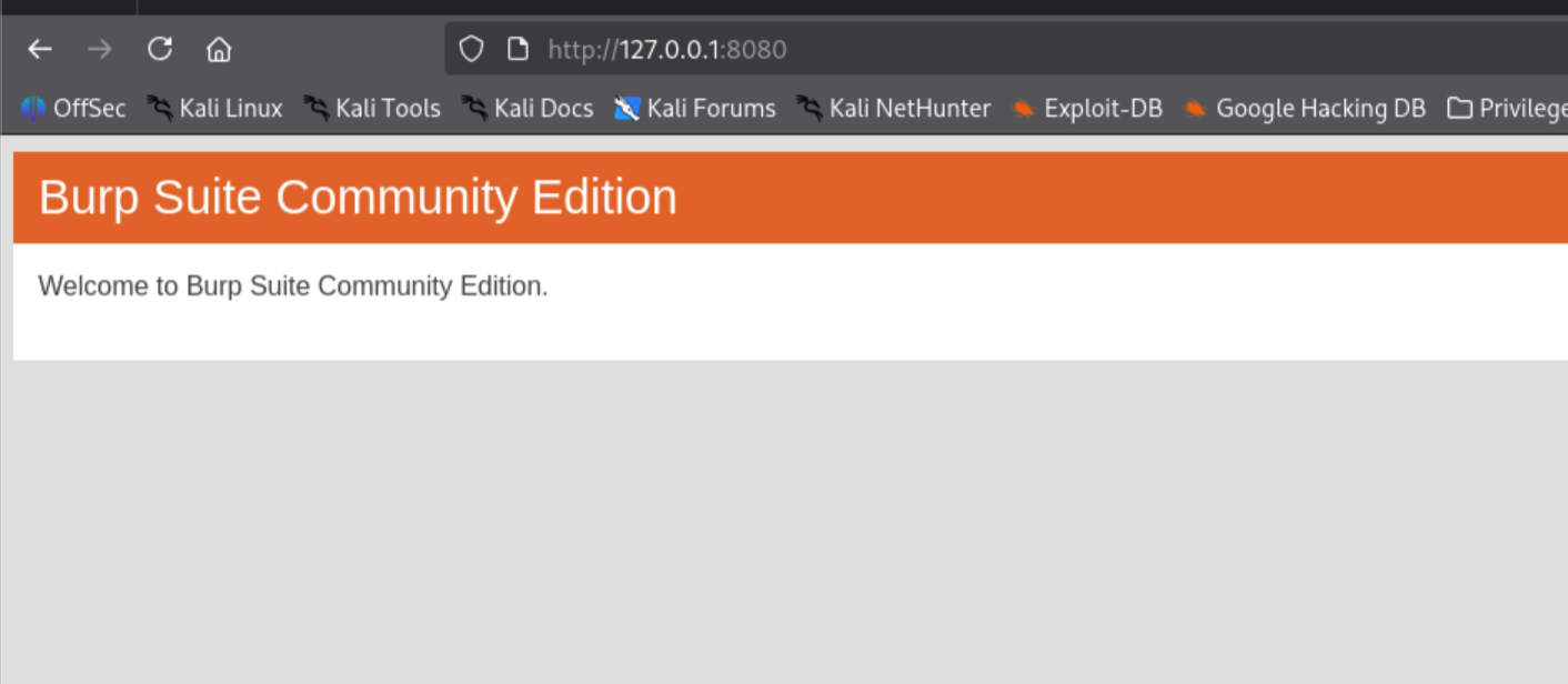 Browser showing port 8080 is occupied locally by Burp Suite, not Jenkins